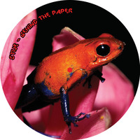 Stije - Behind the Paper (Origami Records Treefrog E.P) by Stije