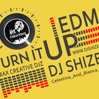 Turn it up.... EDM - DJ SHIZEN - MaX Creative Djz by Shizen Music