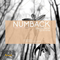 Snowdrop by Numback