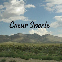 Coeur Inerte by Pierre Bordetti