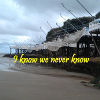 I Know We Never Know by Pierre Bordetti