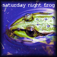 #soundsofsummercontest #musicmaker saturday night frog by Auseinklang