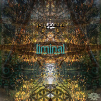Psypien - Anticlockwise - 152 - LIMINAL Album - OUT NOW - Psyde Effect Records by Psypien