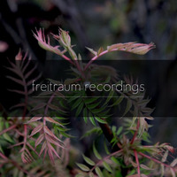 Freitraum Podcast #1 - HerrReimer - Downbeat by HerrReimer