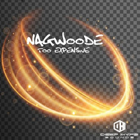 Nagwoode - Too Expensive - Rework by Deep-Hype-Sounds