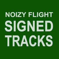 RELEASED TRACKS by NOIZY FLIGHT