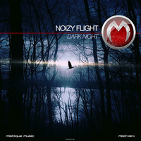 MIST494 Noizy Flight - D.SU(Original Mix) by Noizy Flight