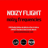 Noizy Frequencies #2 by Noizy Flight