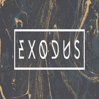Exodus by Thomas Stout