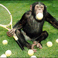 Original Primate vs Gella vs Djsavannah vs Breakneck (Monkey Tennis DJ Mix) Free Download! by Original Primate