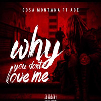 ft ace - Why You Dont Love Me produced by redhooknoodles by youngsosa359