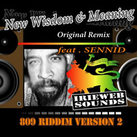 New Wisdom & Meaning - feat. Sennid 809 Riddim Ver2 by IRIEWEB SOUNDS
