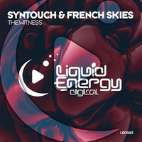Syntouch & French Skies - The Witness (Original Mix)[Liquid Energy Digital] by Syntouch