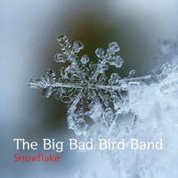 Rainy Day by The Big Bad Bird Band