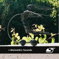 Starskie: Malambic Sounds by Strandpiraten