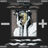 Madness (Feat. IndigoSkyLine) by BrandonWolfHill