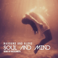Soul And Mind (Riccicomoto Remix) by Gysnoize Recordings