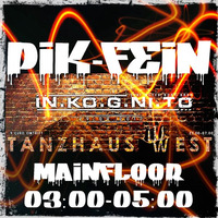 PIK-FEIN @ IN.KO.G.NI.TO | TANZHAUS WEST - FRANKFURT | 29.09.2017 by PIK-FEIN ♤