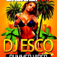 DJ ESCO - SUMMER VIBES by Dj Esco