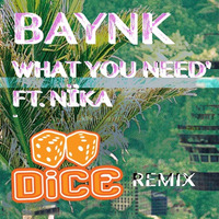 BAYNK  - WHAT YOU NEED FT. NÏKA (DiCE'REMiX) by DiCE_NZ