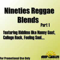 Nineties Reggae Blends by DJ Farook