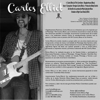 04 - Carlos Elliot Jr. - Slaughterhouse (Blues) by Colectivo.AlArte