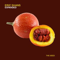 Eric Shans - Expanded (Original Mix) by The Seed Underground