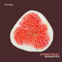 Symmetrical - Imagination (Original Mix) by The Seed Underground