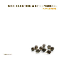 Miss Electric & Greencross - Wanderers (Annix TM Remix) by The Seed Underground