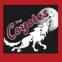 Hem breakfast show   coyotes interview 05/10 by Peter Englefield