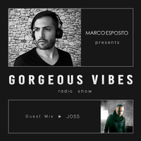 Gorgeous Vibes#18 - Guest JOSS by Marco Esposito