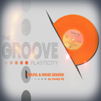 THE GROOVE PLASTICITY  -  soulful &amp; house session by funkji Dj