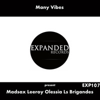 Many Vibes present Madsax Leeroy Olessia Ls Brigandes Exp107(2) out 06/06/2016 by Expanded Records