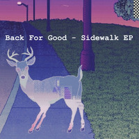 Endgame (Turn It Down Music # 1) by BACK FOR GOOD