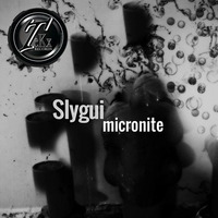 Slygui - Micronite (Original Mix) [Tekx Records] by Slygui