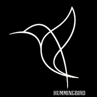 Hummingbird - Hope by PTSMH / MUSIKPRODUCER & DJ