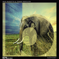 Max Marotto &amp; Tommy Boccuto -  Elephant (Tribe Mix) by Tommy Boccuto