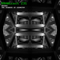 BRAWLcast 231 Bushby - The Terrors of Geometry by BRAWLcast