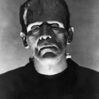 The Frankenstein Catalog by Belial Pelegrim
