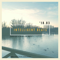 Intelligent beats '18.03 by STE