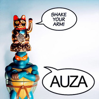 Shake Your Arm (2009) by AUZA
