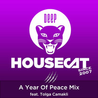 Deep House Cat Show - A Year Of Peace Mix - feat. Tolga Camakli by Deep House Cat Show