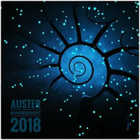Neujahrskonzert 2018 by Auster Music