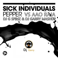 Dj Garry & Dj G Spinz-Aao Raja Vs Pepper-Mashup by DJ Garry Singh