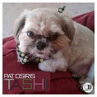 Pat Osiris - Tashi | OUT NOW! on all good stores by DivisionBass Digital (Label)