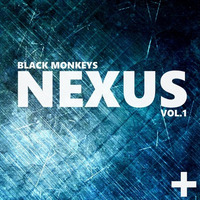 BLACK MONKEYS NEXUS VOL. 1 by Producer Bundle