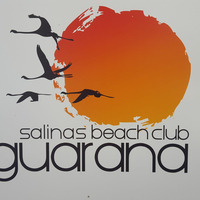 Sony V Pres. Ibiza - 4 The Love Of House Vol I (Live at Guarana Salinas Beach Club) by Sony V (Aka Magec)