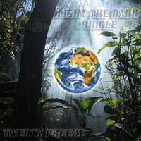 Light The Dark Jungle Mix (2007) by Twenty Freeze