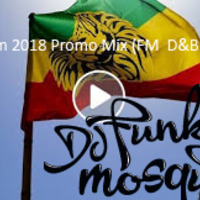 Funky Mosquito Big Nu Funkee Beats Fivty-Four (Rototom 2018 Promo Mix D&amp;B Nuggets) 12.12.17 by Funky Mosquito