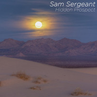 Hidden Prospect by Sam Sergeant